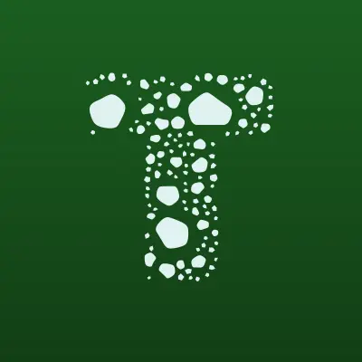 Тип-Топ